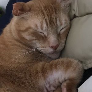 Meet your Posher, Rhonda